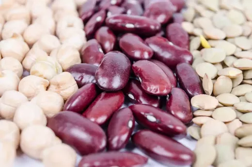 Bohnen sind eine gute Quelle für Superfood